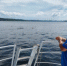 5 июля водолазы Поисково-спасательного отряда специального назначения проводили водолазные поиски на реке Волга в Красноглинском районе около острова Птичий по заявлению сотрудников полиции. - НИА Самара