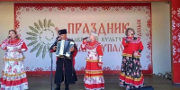Ансамбль «Волжские зори» из Спасского района выступил на фестивале «Иван Купала» в Зеленодольске - Газета Новая жизнь
