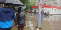 В Кирове жильцы дома нашли в затопленном подвале мух и утонувшую крысу - Город Киров
