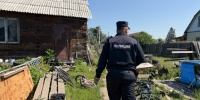 JPG Файл - УМВД Еврейской АО 