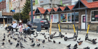 Хабаровчане и приморцы чаще всего пользуются арендой самокатов - CitySakh.Ru