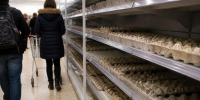 В Германии из-за дефицита куриных яиц сеть диск... - Про Город Пермь