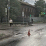В Абакане водитель минивэна сбил дедушку на пешеходном переходе - Агентство Информационных Сообщений