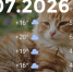 Bazaart_B3BE2448-2B75-4393-9BC7-7990FC3A4190 - ЗА Новомосковск