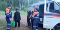 В районе Башкирии нашли 80-летнего грибника, потерявшегося в лесу - Башинформ