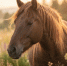 hpTzfGTZut39nOolUjQVG-057LA9uIQw8S1Bf6x4WfPAk-7zQt_jNhJLTsuS72_Arsu823xfVZrFz3wneeKjE2gJ - ЗА Новомосковск