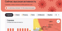 Жителей Ростовской области предупредили о высокой активности аллергенов - DonDay.Ru
