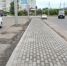 dsc05338 - Сетевое издание Арбуз