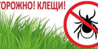 Как обезопасить себя от клещей - Воткинский район