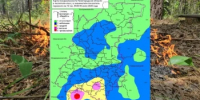 Сводка пожароопасности на 06.07.2026 - Министерство лесного хозяйства