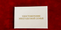 Более 900 многодетных семей получили выплаты взамен земельного участка в Приморье - Администрация Приморского края