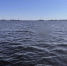 В Саратовской области проводится проверка по факту смерти мужчины в водоеме - Следственное управление