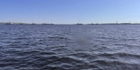 В Саратовской области проводится проверка по факту смерти мужчины в водоеме - Следственное управление