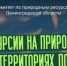 Бесплатные экскурсии по природным жемчужинам Ленинградской области: приглашаем в путешествие! - Приозерский район