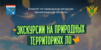 Бесплатные экскурсии по природным жемчужинам Ленинградской области: приглашаем в путешествие! - Приозерский район