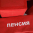 Минтруд утвердил перечень документов, необходимых для получения пенсий | Источник: Алексей Волхонский / V1.RU - 161.Ru
