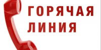 В целях выявления случаев сдачи в аренду физическими лицами нежилых помещений для получения дохода организована горячая линия. - Администрация г. Димитровград