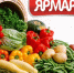 Ярмарка. - Красненский район