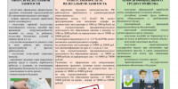 Нелегальная (теневая) занятость .. - Администрация г. Вятские Поляны
