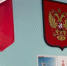Вологда-поиск - Вологда-поиск