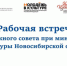 Встреча Молодёжного совета с министром культуры Новосибирской области - Баганский район
