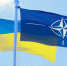 Стубб заявил о поддержке НАТО планов Украины по усилению ударов по России - M24.Ru
