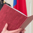 В Коми вынесли приговор женщине за угон машины такси - Pg11.Ru
