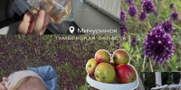 Телеведущая Яна Чурикова назвала Мичуринск «Новой Коломной» - Тамбовская жизнь