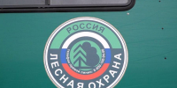 Сегодня 95 лет с момента создания Авиалесоохраны - ГТРК Поморье