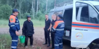 В Краснокамском районе успешно завершены поиски пожилого грибника - Комитет по чрезвычайным ситуациям