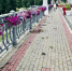 вандалы (1) - OrelTimes.Ru