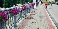 вандалы (1) - OrelTimes.Ru