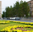 Оперативное предупреждение - Гайский городской округ