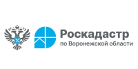 Жители региона на 27% чаще стали запрашивать копии документов на недвижимость. - Администрация