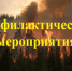 В период лесных пожаров и смога от дыма нужно помнить о необходимых профилактических мероприятиях. - Колпашевский район
