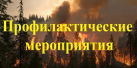 В период лесных пожаров и смога от дыма нужно помнить о необходимых профилактических мероприятиях. - Колпашевский район