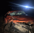 povrezhdeniya_kret_4-400x270.jpeg - УМВД Смоленской области