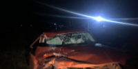 povrezhdeniya_kret_4-400x270.jpeg - УМВД Смоленской области