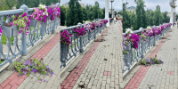 Кашпо на Александровском мосту в Орле не пережили встречу с вандалами - Орловский Вестник