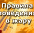 ‼ЖАРА!‼ - Артемовский городской округ