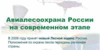 Днём рождения авиационной охраны лесов в России считается 7 июля 1931 г. - Министерство природных ресурсов