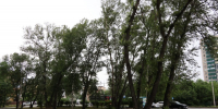 В абаканском Парке Победы приступают к устройству детской площадки - Газета Хакасия