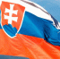 Словакия «заморозила» визы для брянцев до осени - Брянская улица