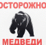 Осторожно: в окрестностях Мегиона замечен медведь! - Администрация г. Мегиона