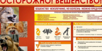 О профилактике бешенства - Комитет по охране, контролю и регулированию использования объектов животного мира