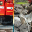 В ХМАО пожарные спасли краснокнижного лебедя из грязевой ловушки - 2Goroda.Ru