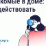 Борьба с насекомыми в многоквартирном доме. - Колпашевский район