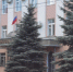 Прокуратура Курганской области предупреждает об ответственности за фейки и запрет на съёмку БПЛА - Новый мир