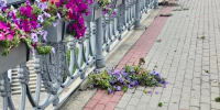 «Спецавтобаза» Орла пожалуется на вандалов в полицию - OrelGrad.Ru