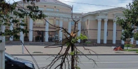 Ураган в Альметьевске: ветер повалил деревья на машины и оборвал ЛЭП - ТРК Татарстан-Новый век